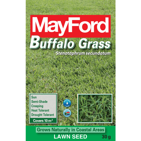 Mayford Buffalo Grass Seed 30g Agrimark