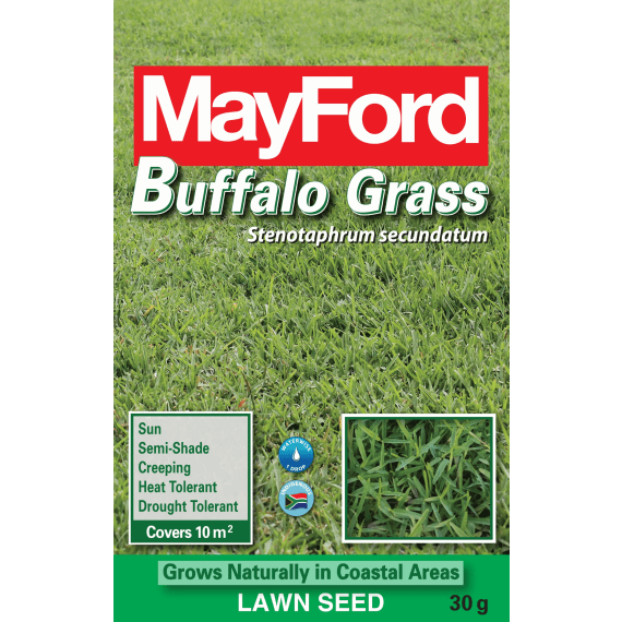 mayford buffalo grass seed 30g picture 1