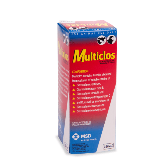 MSD Vaccine Multiclos | Agrimark