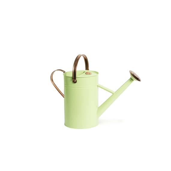 good roots watering can 4 5l picture 2