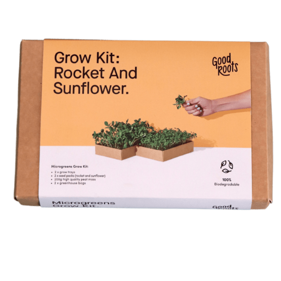 microgreen kit rocket sunflower picture 1