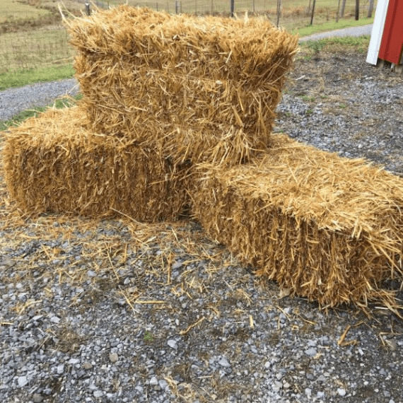 ef thomps oats hay bale square per bale picture 1