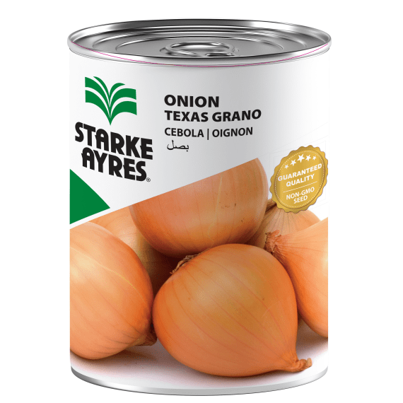 seed onions texas grano 100g picture 1