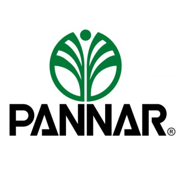 pannar seed wheat pan3644 25kg picture 1