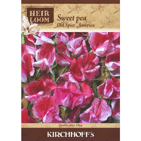 kirchhoffs seed flower heirloom picture 1