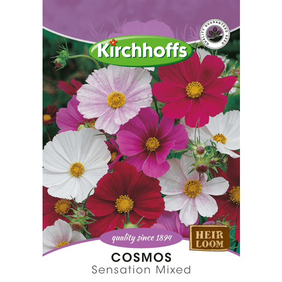 kirchhoffs seed flower foils picture 1