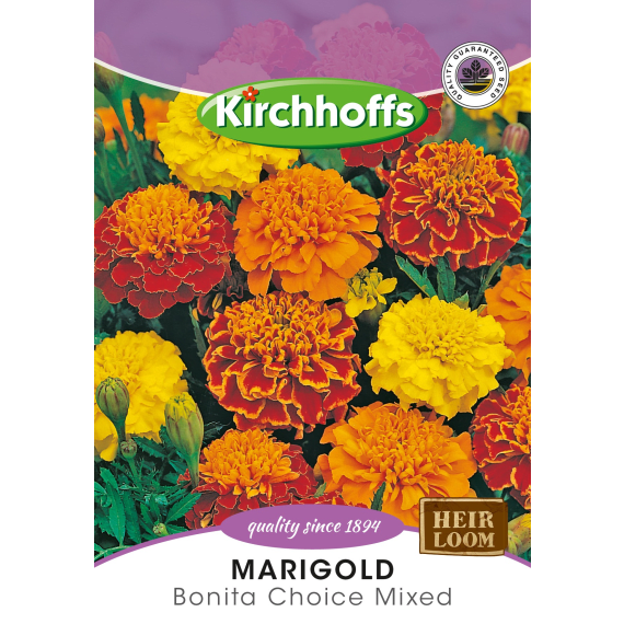 kirchhoffs seed flower foils picture 2
