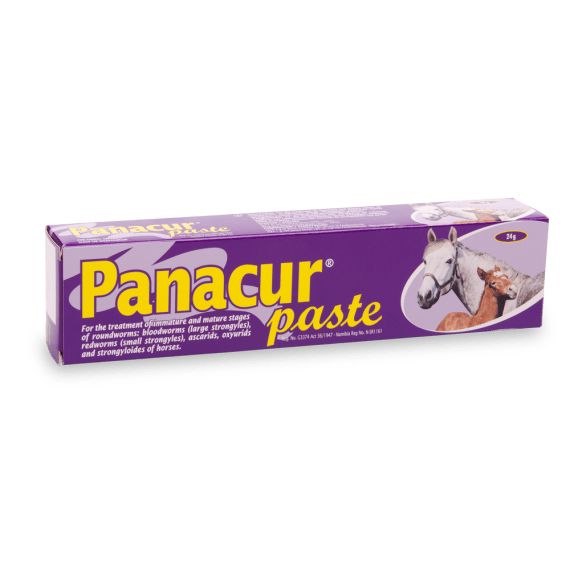 msd panacur paste for horses 24g picture 1