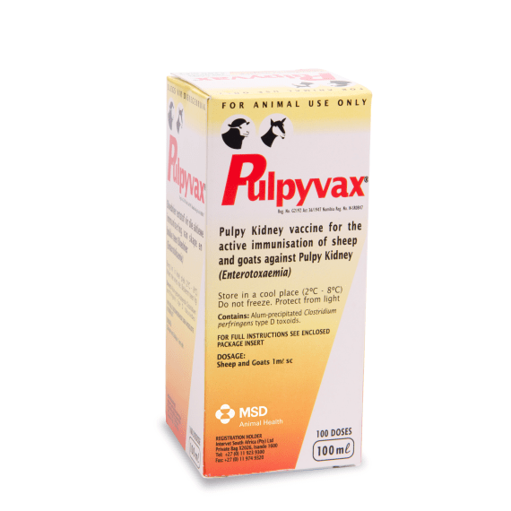 msd vaccine pulpyvax 100ml picture 1