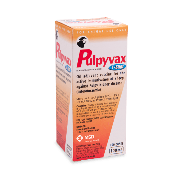 msd vaccine pulpyvax one shot 100ml picture 1