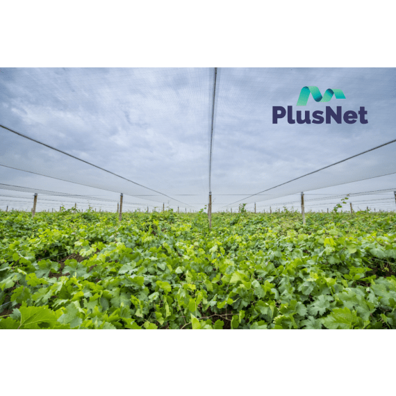 plusnet shade netting agri 20 picture 1
