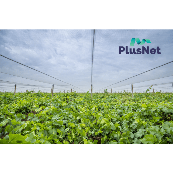 plusnet shade netting agri 40 picture 1