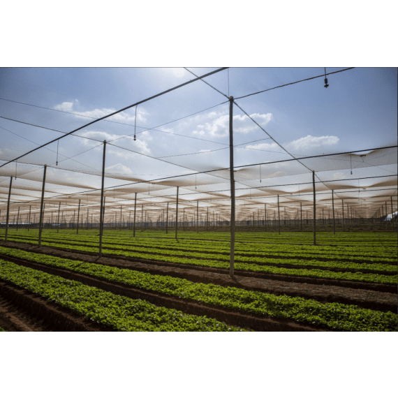 plusnet shade netting agri 40 picture 5