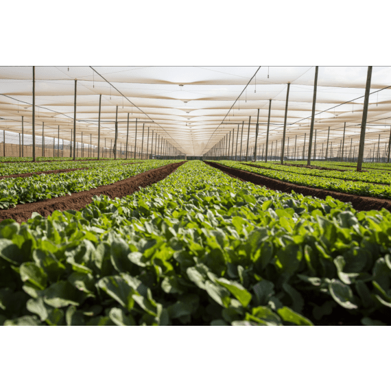 plusnet shade netting agri 40 picture 6