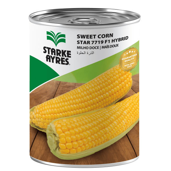 seed sweetcorn star 7719 500g picture 1
