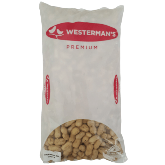 westerman s unshelled nuts picture 2