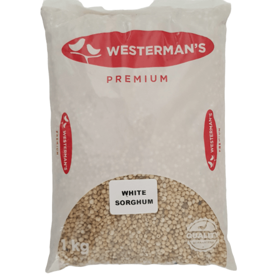 westerman s white sorghum 1kg picture 1