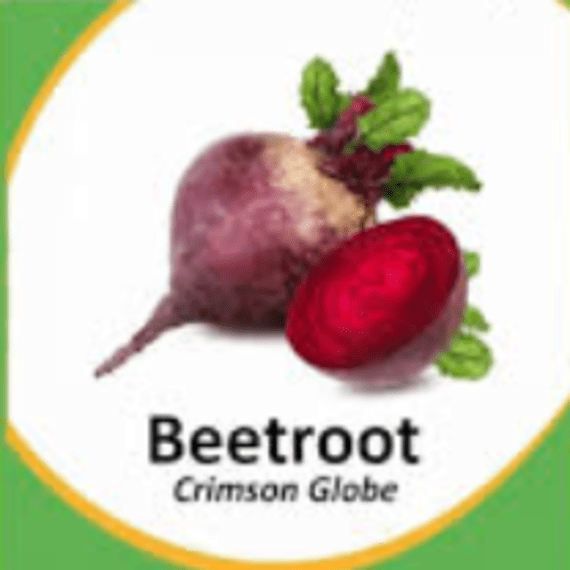 asg beetroot crimson globe 100g picture 1