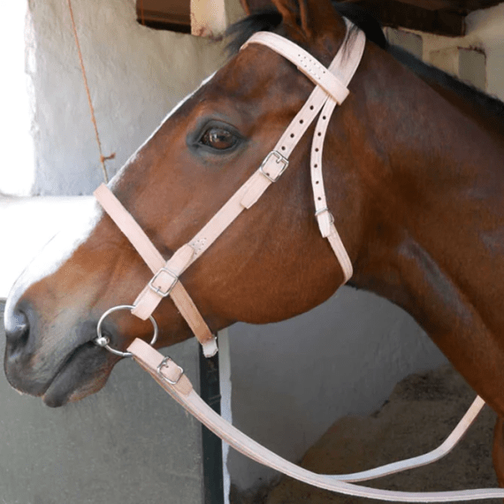 solo bridle farm snaffle picture 1