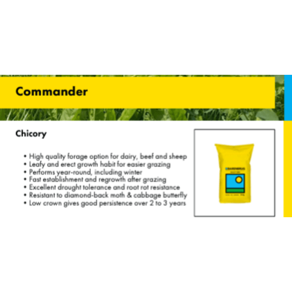 bbrug chicory commander coated 25kg picture 1