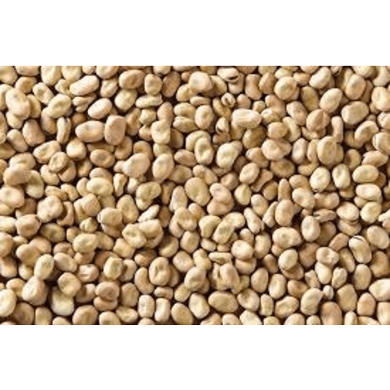 agt jugo beans bamara groundnuts 25kg picture 1