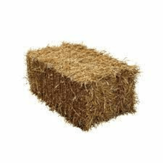 ef thompson chaff bales picture 1
