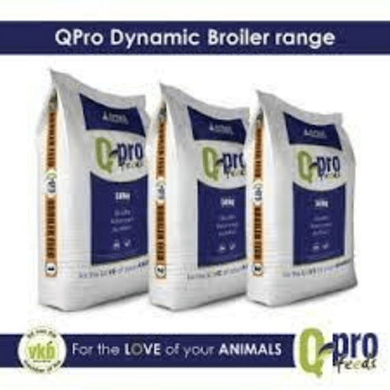 q pro dynamic broil starter 10kg picture 1