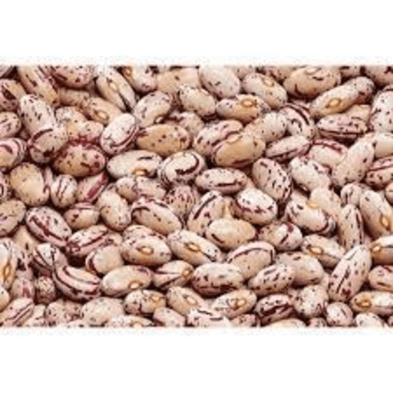 Lake Agriculture Dry Bean Seed 101 25kg Agrimark