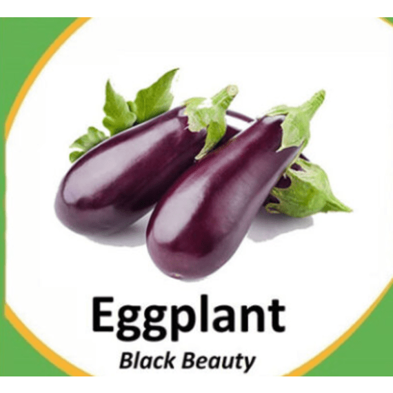 asg egg plantblack beauty 2g foil picture 1