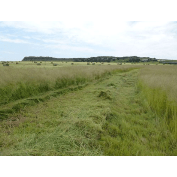 agricol eragrostis agpal 5kg picture 1