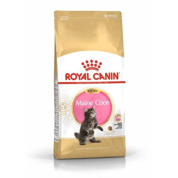 royal canin feline maine coon kitten picture 1