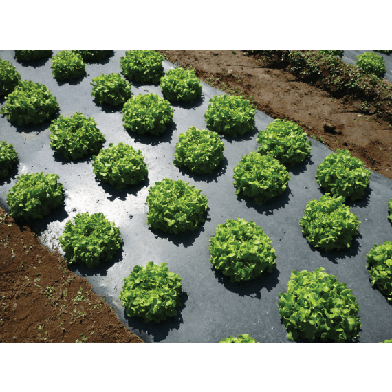 GUNDLE PLASTIC MULCH Agrimark