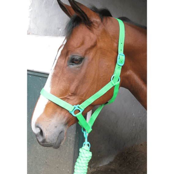 Solo Rope Halter + Lead | Agrimark