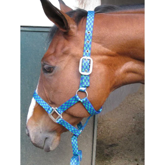 solo halter everstretch lead lrg picture 1