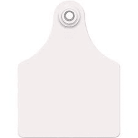 allflex eartag senior m3 f3 white 100 picture 2