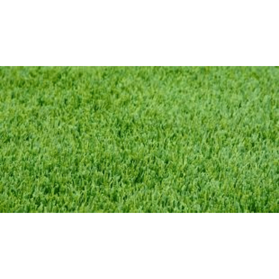 agricol perennial ryegrass platform 25kg picture 1