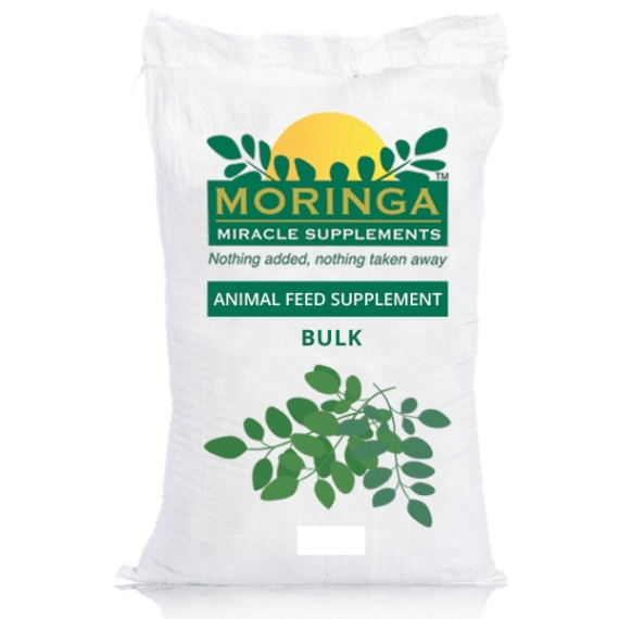 moringa animal supplement 10kg picture 1