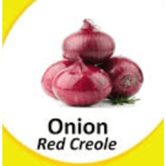 asg onion red creole 100g picture 1