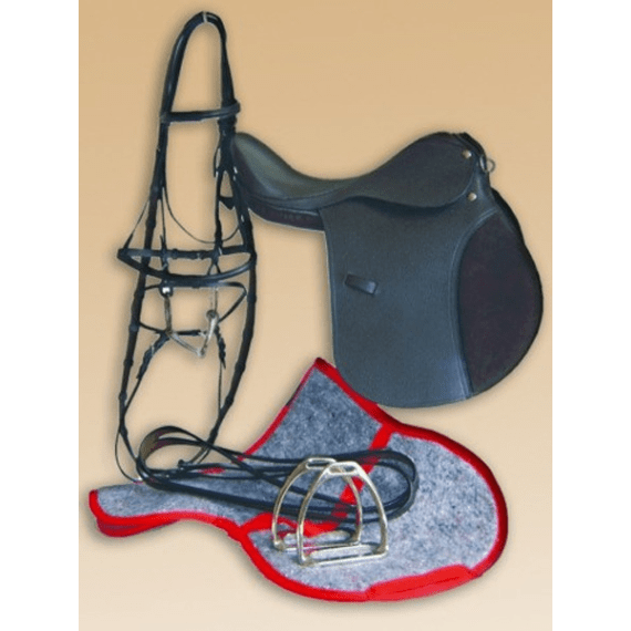 trident saddle bridle starter kit picture 1