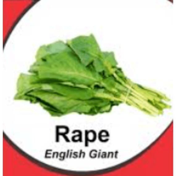 asg rape english giant foil 5g picture 1