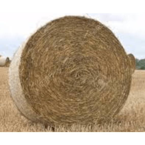 bales round oats picture 1