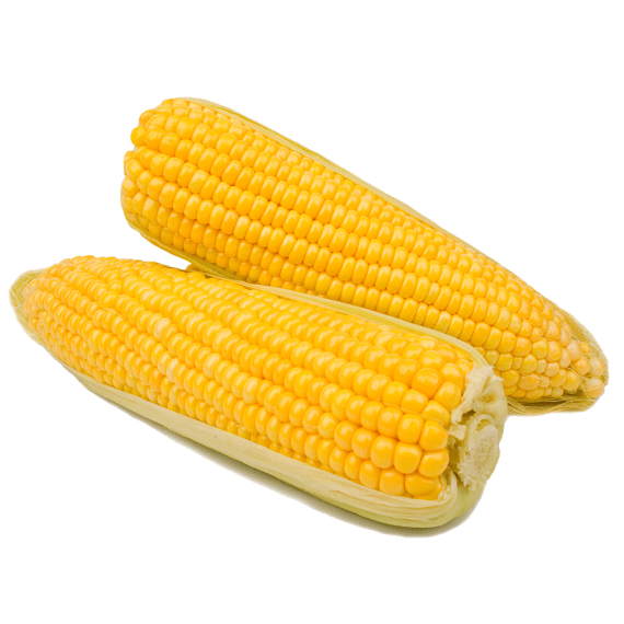 starke ayres sweetcorn star 7719 25g picture 1