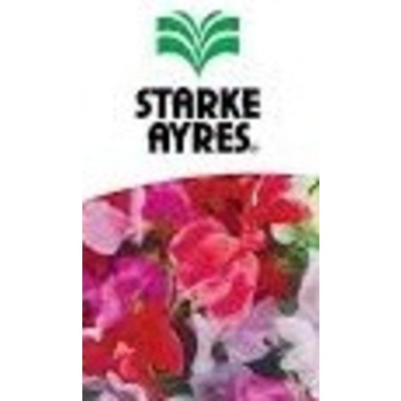 starke ayres sweetpeas dwarf mix econopack picture 1