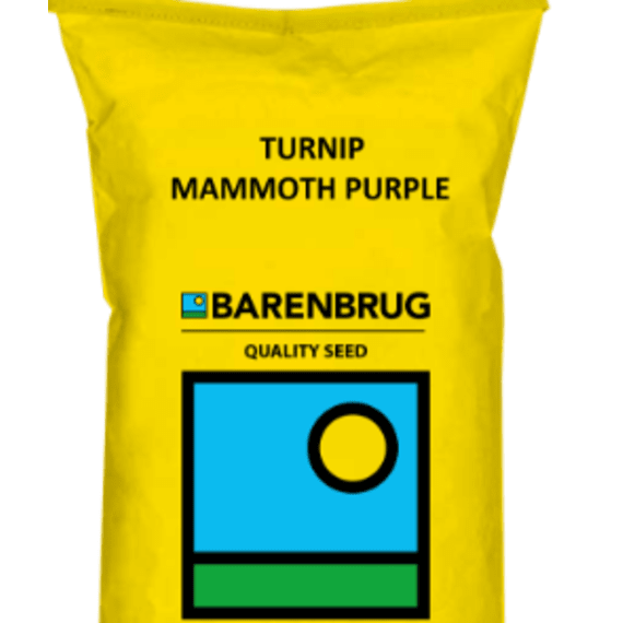 bbrug turnip mammoth purple 1kg picture 1