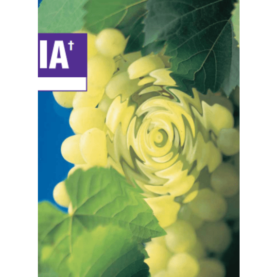 victoria chem grape dipping oil 20l picture 2