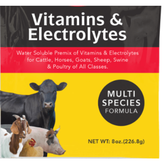 vitamins and electrolytes 100gr picture 1