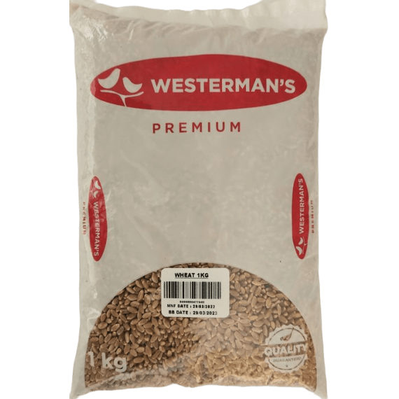 westerman s wheat picture 2