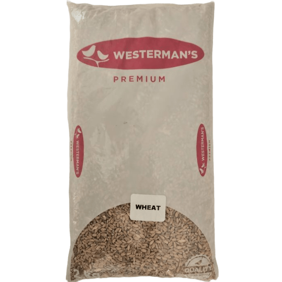 westerman s wheat picture 3