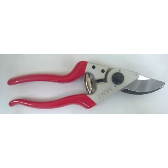 sanz pruner s421 picture 1