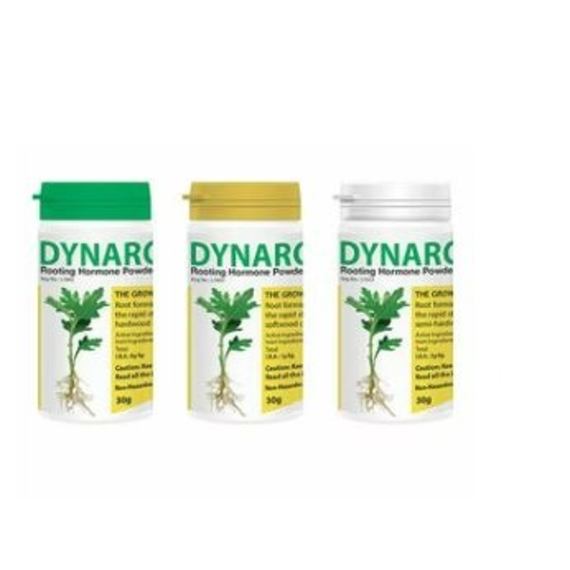 starke ayres dynaroot no 1 30g picture 1